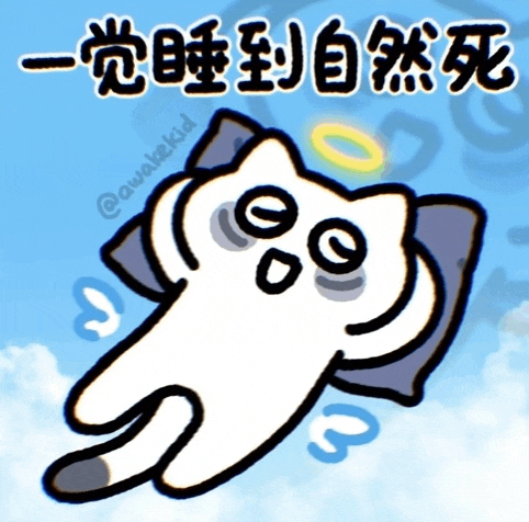 a cartoon of a cat laying on a pillow with chinese writing