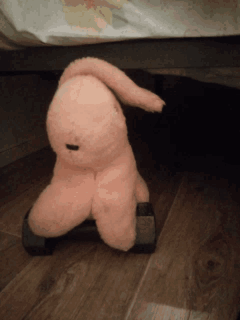 a pink stuffed animal is sitting on a black dumbbell under a bed