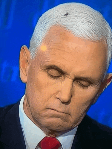 a close up of mike pence 's face with a fly on his head