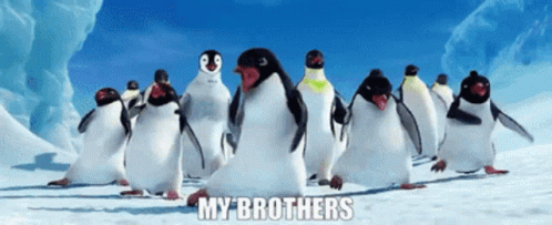Happy Feet My Brothers GIF - Happy Feet My Brothers Brothers GIFs