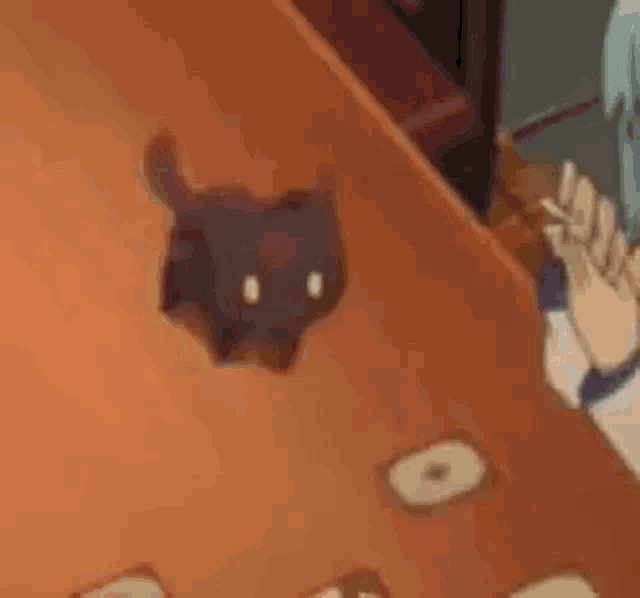 a person is holding a piece of bread and a cat is sitting on a table .