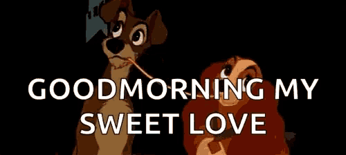 a cartoon of a dog and a cat with the words `` good morning my sweet love '' .
