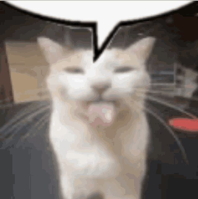 a close up of a cat with its tongue hanging out and a speech bubble above it .