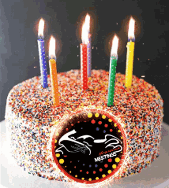 a birthday cake with candles and sprinkles has a picture of a horse on it