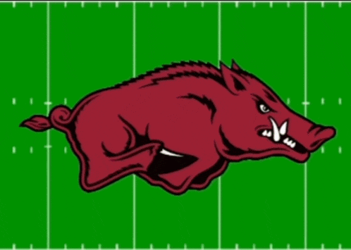 a football field with arkansas written on it
