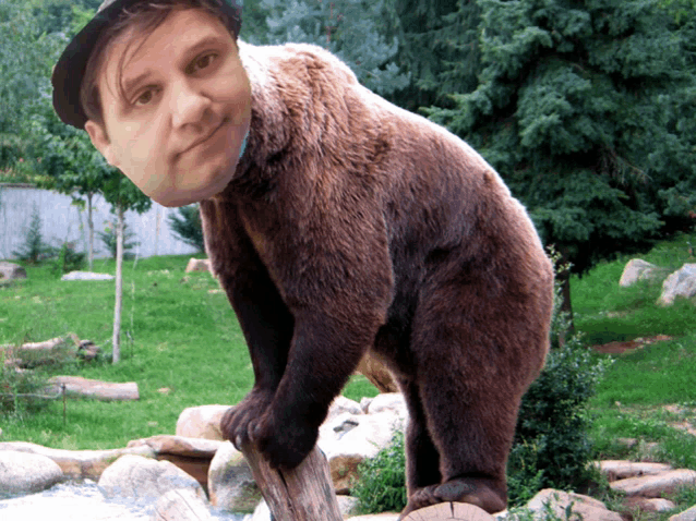 a bear with a man 's face on its head