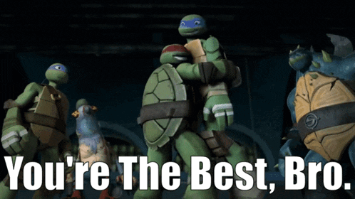 a group of teenage mutant ninja turtles standing next to each other with the words " you 're the best bro " above them