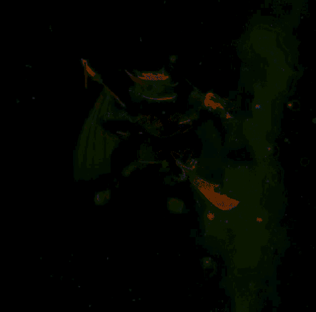 a blurry picture of a green and yellow background with a black background