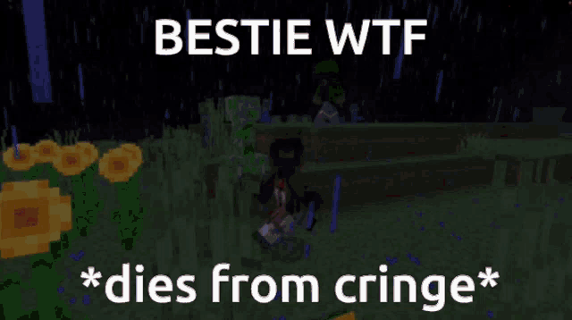 a screenshot of a minecraft game with the words bestie wtf dies from cringe
