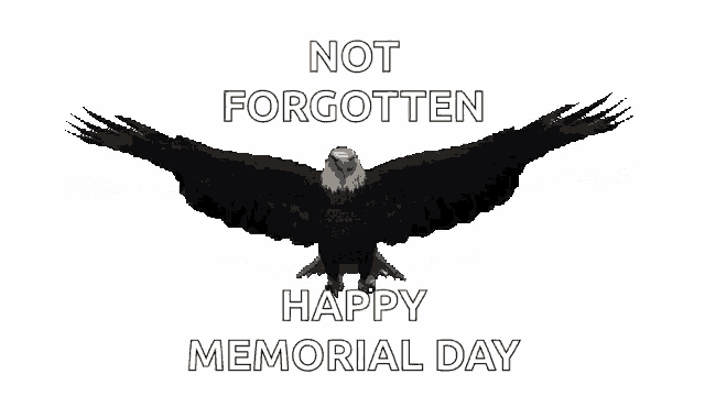 a bald eagle is flying in the air with the words not forgotten happy memorial day below it