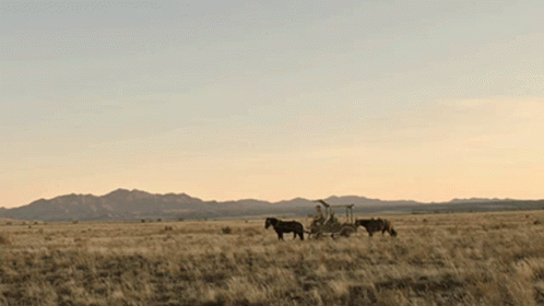 Horse Carriage News Of The World GIF - Horse Carriage News Of The World Desert Plains GIFs