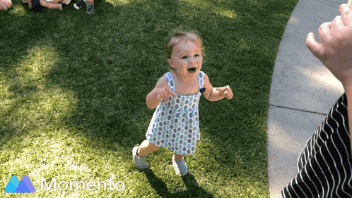 a little girl in a blue and white dress is standing in the grass with a momento logo in the foreground