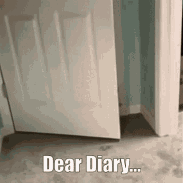 a picture of an open door with the words dear diary written on it