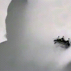 a black and white photo of a woman 's face with a crown on her forehead .