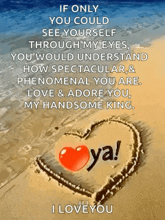 if only you could see yourself through my eyes , you would understand how spectacular , phenomenal you are .