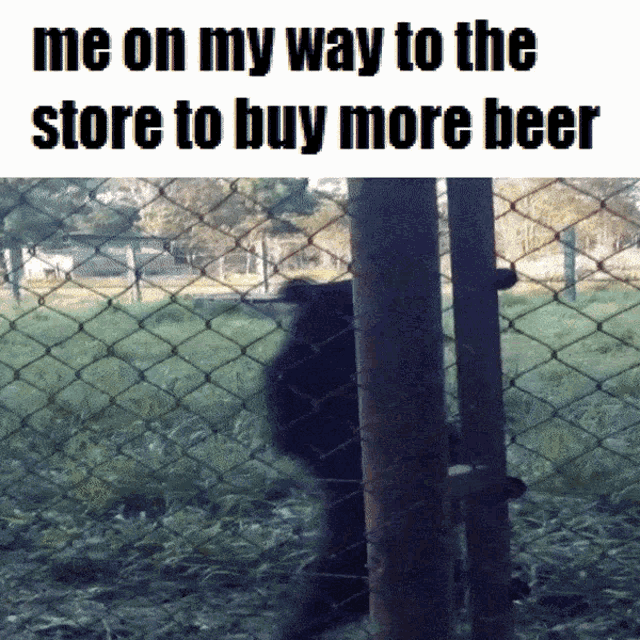 Beer On My Way GIF - Beer On My Way To The Store To Buy More GIFs