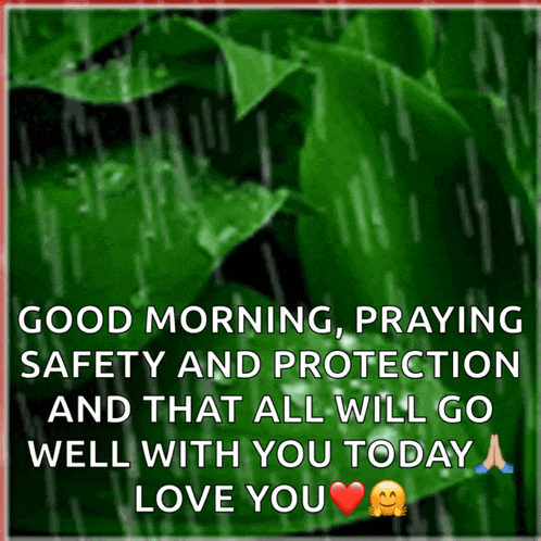 a picture of a green leaf with the words good morning praying safety and protection