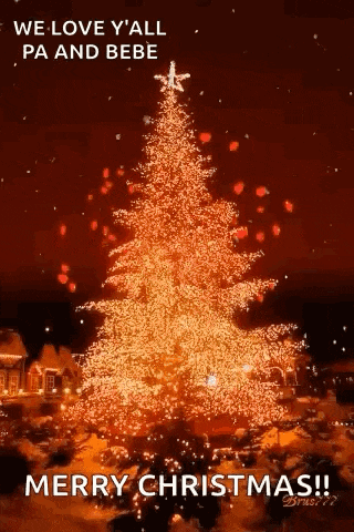 a christmas tree with a star on top of it