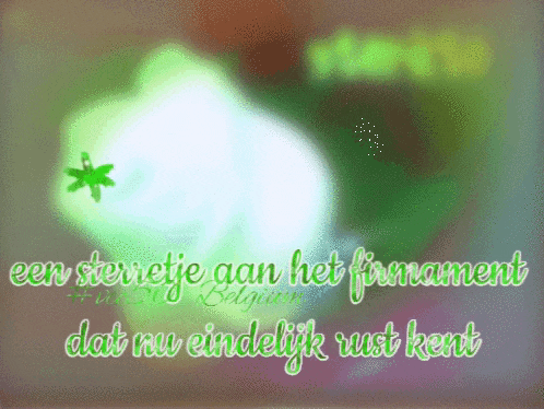 a green background with the words een steertje aan het firmament dat nu eindelijk rust kent