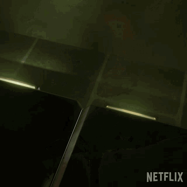 a picture of amy rose from sonic the hedgehog with a netflix logo in the corner