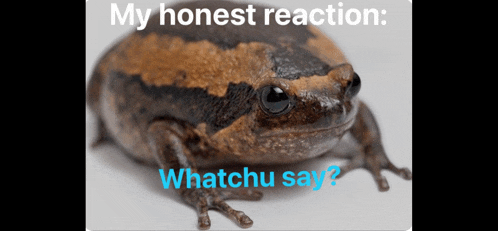 Honest Reaction My Honest Reaction Meme Meme