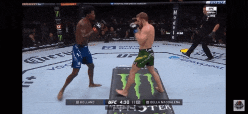 two men are fighting in a ufc ring with a monster energy drink on the mat