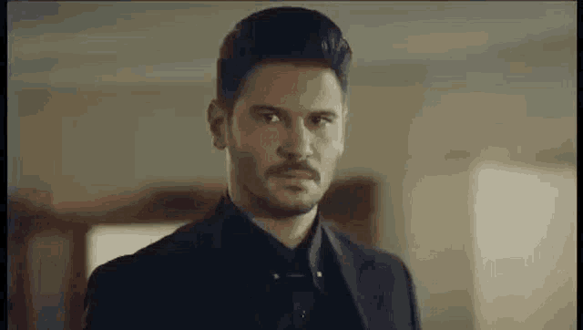 a man with a mustache and a suit is looking at the camera .