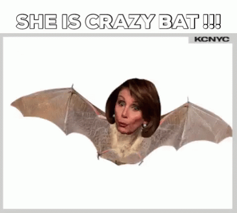 Nancy Pelosi Flying GIF - Nancy Pelosi Flying Bat GIFs
