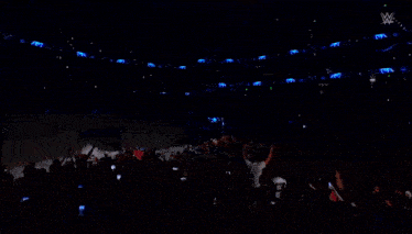 a crowd of people watching a wrestler in a dark stadium