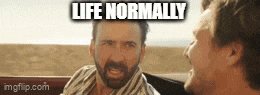 a man with a beard is talking to another man in a car with the words `` life normally '' written above him .