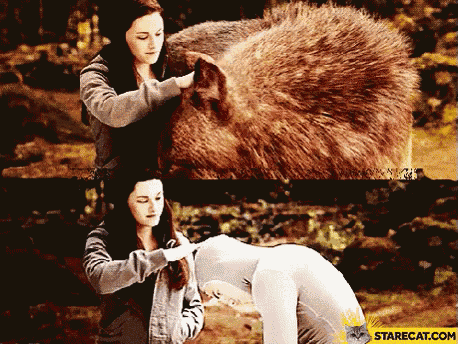 a picture of a woman petting a bear with the website starecat.com in the upper right corner