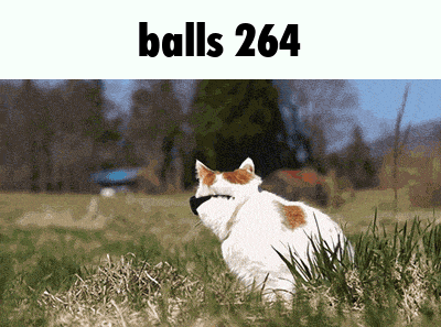 a cat is sitting in the grass with balls 264 written above it