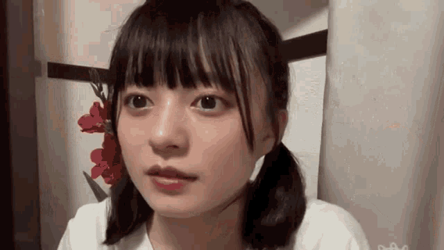 a young girl with pigtails and a flower in her hair is making a funny face .