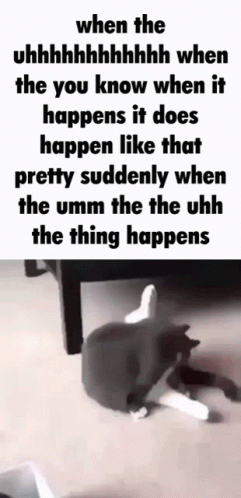 When The The GIF - When The The Uhh GIFs