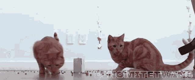 Cats Twitch GIF - Cats Twitch Dinomitetwins GIFs