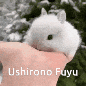 Zeno Remake Ushirono Fuyu GIF - Zeno Remake Ushirono Fuyu Fuyu Ushirono GIFs