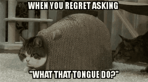 Yay Oh GIF - Yay Oh What That Tongue Do GIFs