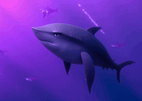 a shark with its mouth open is swimming in the water