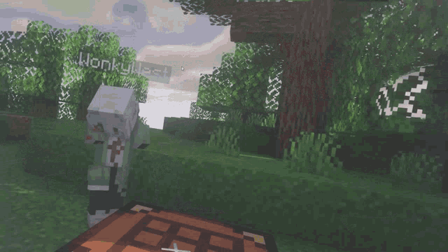 a minecraft character named wonkyquest is standing in a grassy field