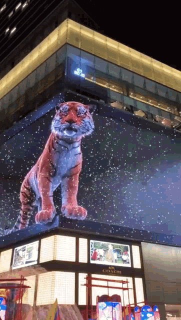 a tiger is projected on the side of a building at night