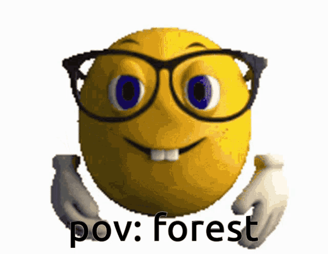 a smiley face with glasses and the words pov forest