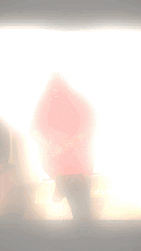 a person in a red shirt is standing in front of a window
