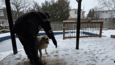a man standing next to a dog in the snow near a pool