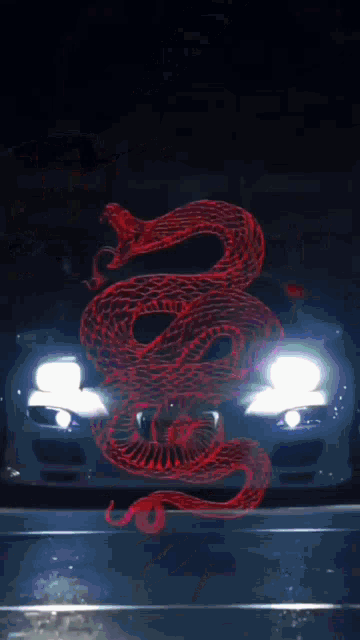 a picture of a car with a license plate that says a55y