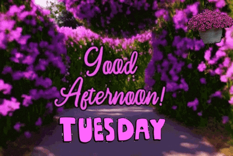 Tuesday Afternoon Tuesday GIF - Tuesday Afternoon Tuesday GIFs
