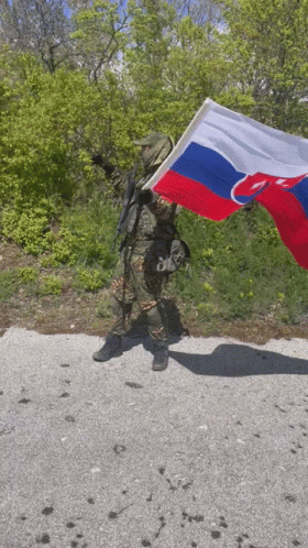 Slovakia Army GIF - Slovakia Army Flag GIFs