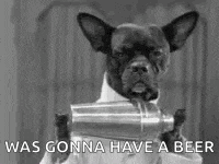 a black and white photo of a french bulldog holding a shaker .