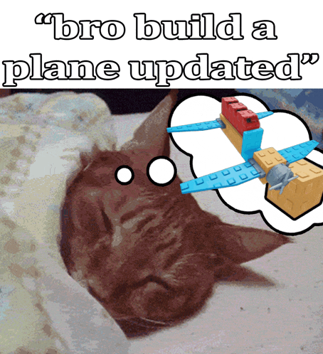 a picture of a cat with a thought bubble that says " bro build a plane updated "
