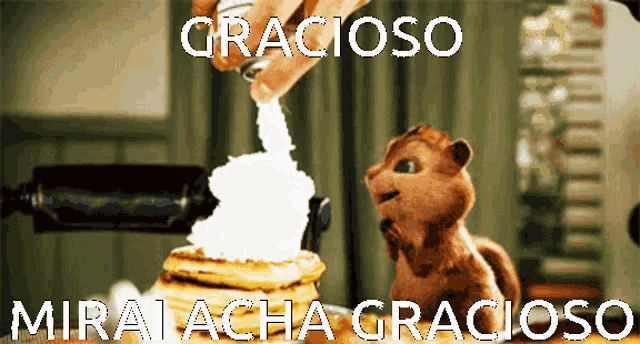 a squirrel is standing next to a stack of pancakes with the words gracioso mira acha gracioso written on it