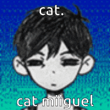 a black and white drawing of a boy with a blue background and the words cat miguel .